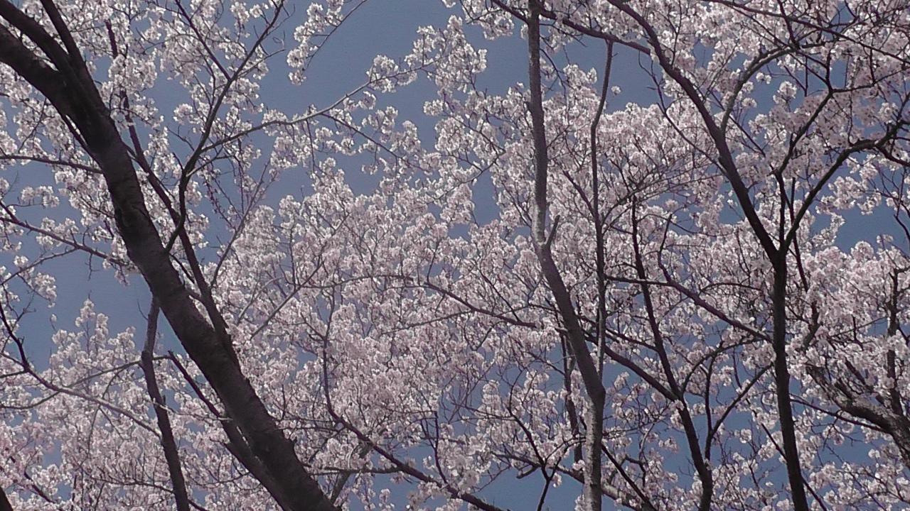 فندق Nikkoen Nishiwaki المظهر الخارجي الصورة